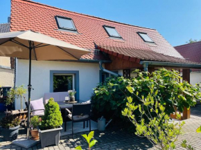 Ferienhaus Neuseenland